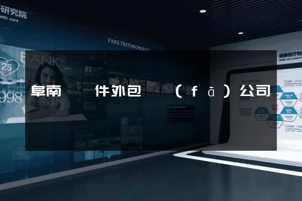 阜南縣軟件外包開發(fā)公司