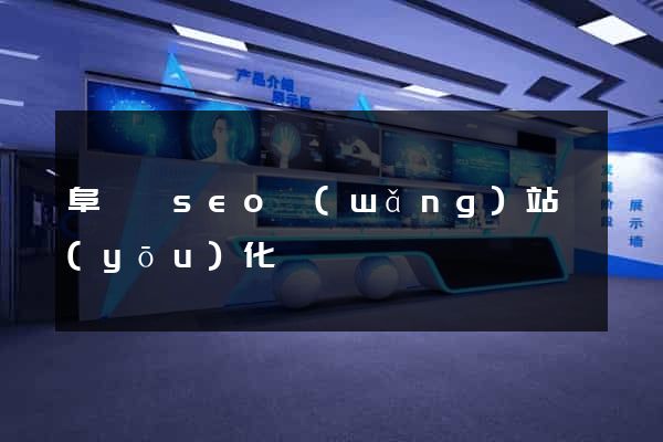 阜寧縣seo網(wǎng)站優(yōu)化