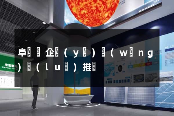 阜寧縣企業(yè)網(wǎng)絡(luò)推廣
