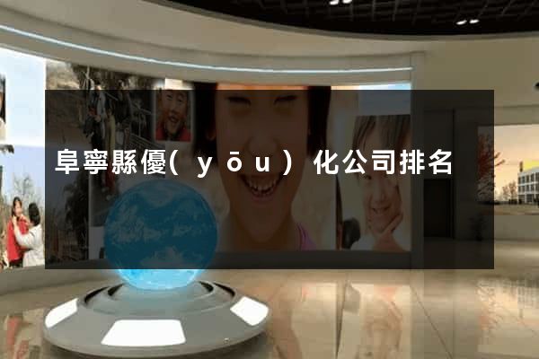 阜寧縣優(yōu)化公司排名