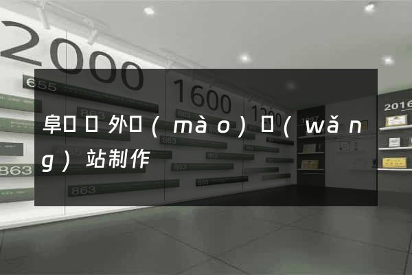 阜寧縣外貿(mào)網(wǎng)站制作