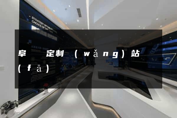 阜寧縣定制網(wǎng)站開發(fā)