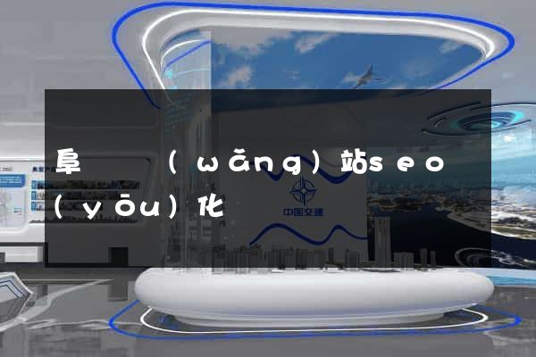 阜寧縣網(wǎng)站seo優(yōu)化