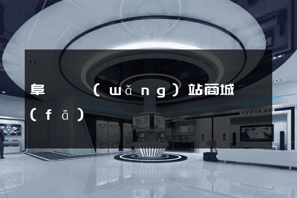 阜寧縣網(wǎng)站商城開發(fā)