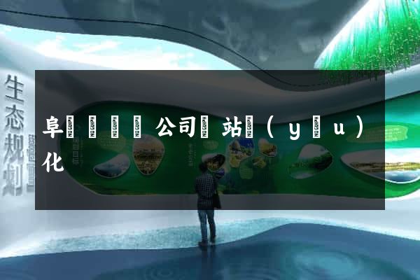 阜寧縣設計公司網站優(yōu)化