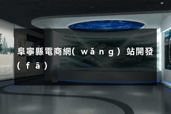阜寧縣電商網(wǎng)站開發(fā)