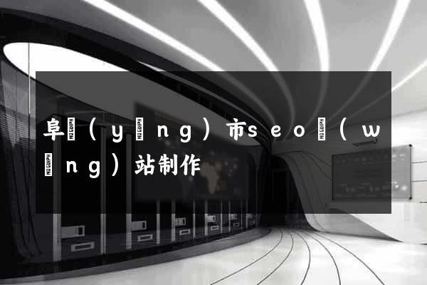 阜陽(yáng)市seo網(wǎng)站制作