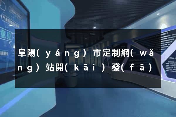 阜陽(yáng)市定制網(wǎng)站開(kāi)發(fā)