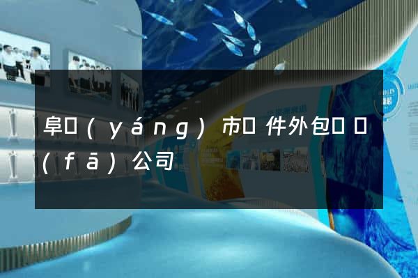 阜陽(yáng)市軟件外包開發(fā)公司