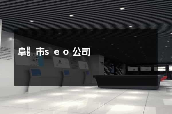 阜陽市seo公司