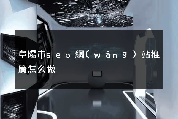 阜陽市seo網(wǎng)站推廣怎么做