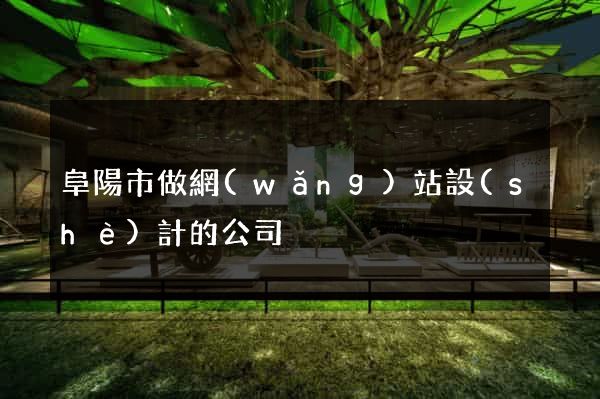 阜陽市做網(wǎng)站設(shè)計的公司