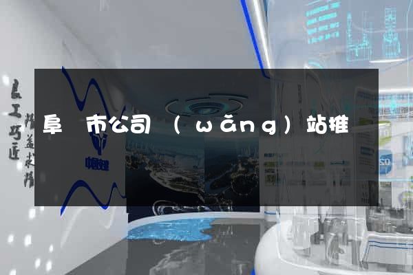 阜陽市公司網(wǎng)站推廣