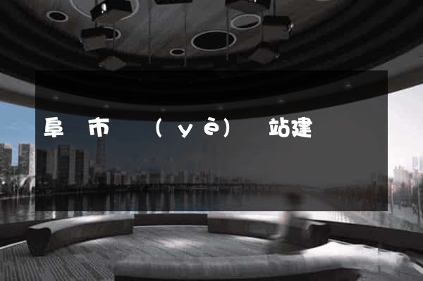 阜陽市專業(yè)網站建設
