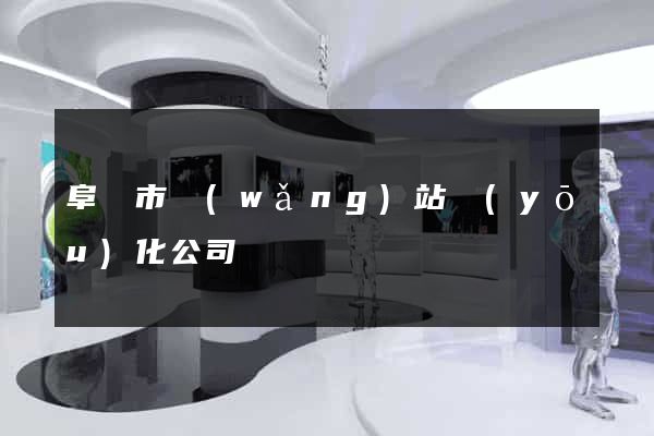 阜陽市網(wǎng)站優(yōu)化公司