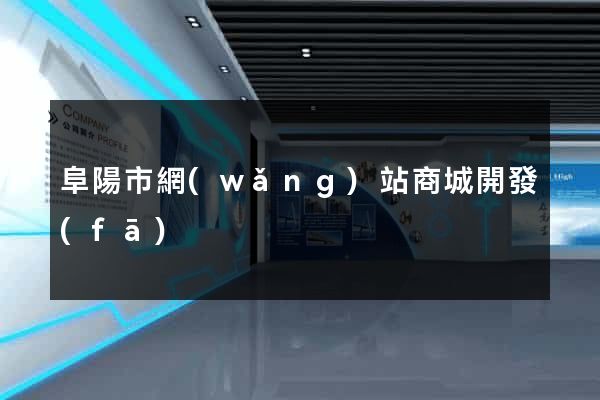 阜陽市網(wǎng)站商城開發(fā)