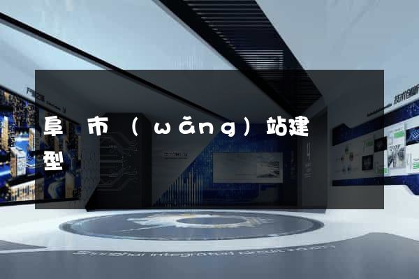 阜陽市網(wǎng)站建設營銷型