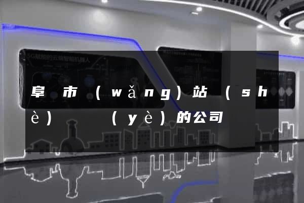 阜陽市網(wǎng)站設(shè)計專業(yè)的公司