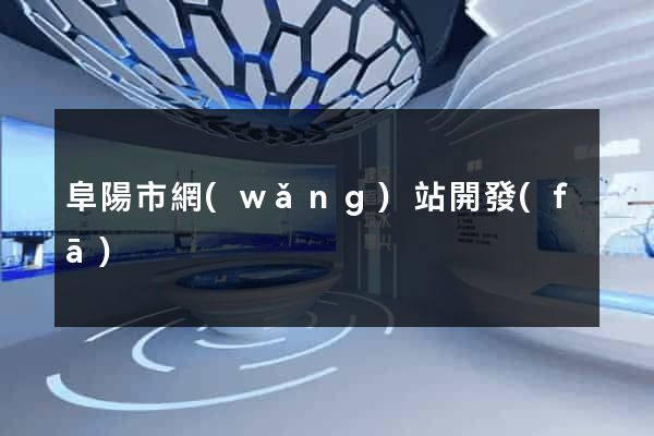 阜陽市網(wǎng)站開發(fā)