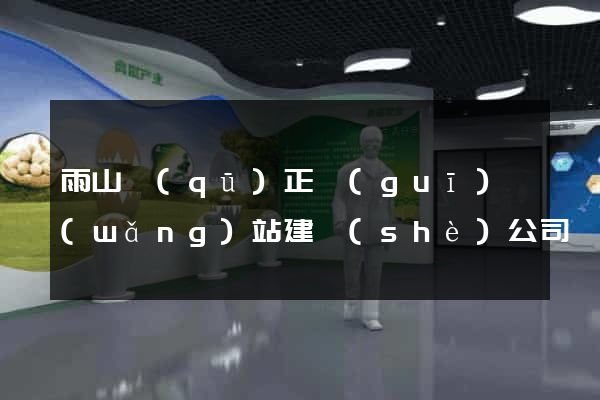 雨山區(qū)正規(guī)網(wǎng)站建設(shè)公司