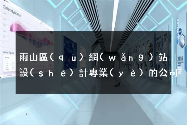 雨山區(qū)網(wǎng)站設(shè)計專業(yè)的公司