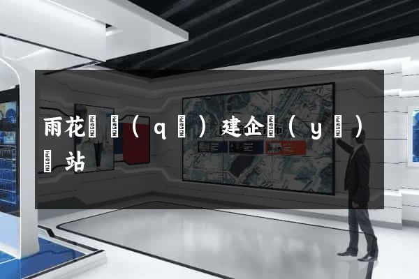 雨花臺區(qū)建企業(yè)網站