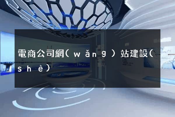 電商公司網(wǎng)站建設(shè)