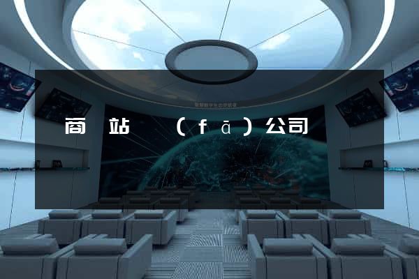 電商網站開發(fā)公司