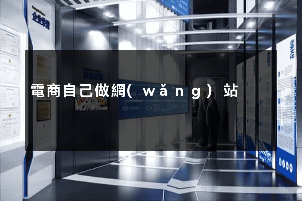 電商自己做網(wǎng)站