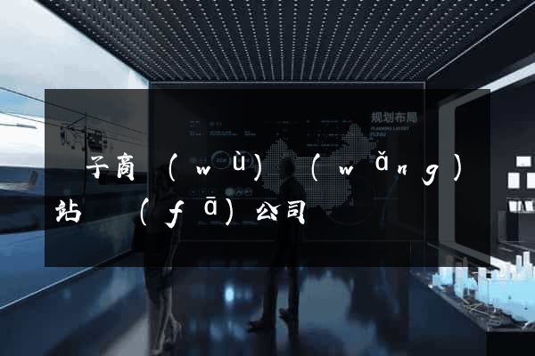電子商務(wù)網(wǎng)站開發(fā)公司