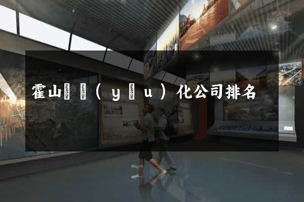 霍山縣優(yōu)化公司排名