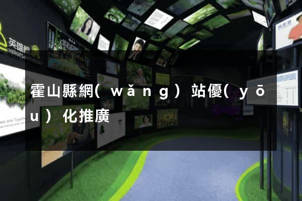霍山縣網(wǎng)站優(yōu)化推廣