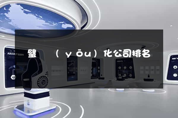 靈璧縣優(yōu)化公司排名