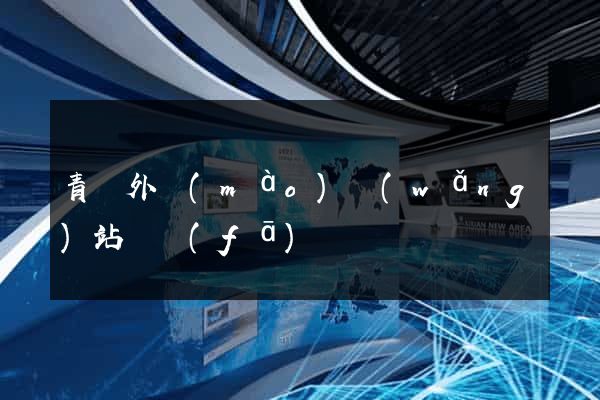 青島外貿(mào)網(wǎng)站開發(fā)
