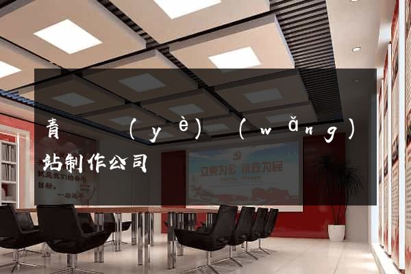 青島專業(yè)網(wǎng)站制作公司