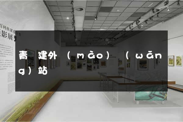 青島建外貿(mào)網(wǎng)站