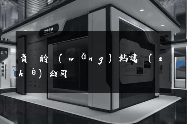 青島的網(wǎng)站建設(shè)公司