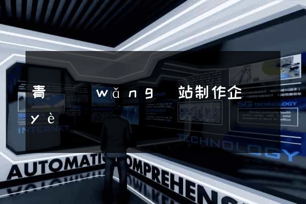 青島網(wǎng)站制作企業(yè)