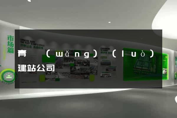 青島網(wǎng)絡(luò)建站公司