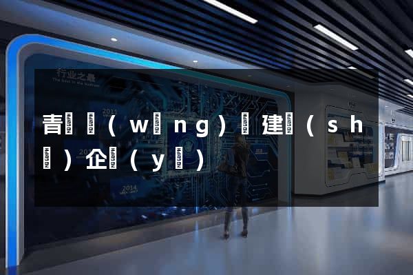青島網(wǎng)頁建設(shè)企業(yè)