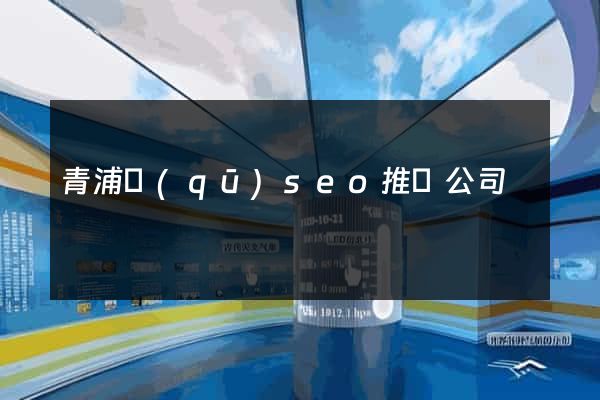 青浦區(qū)seo推廣公司