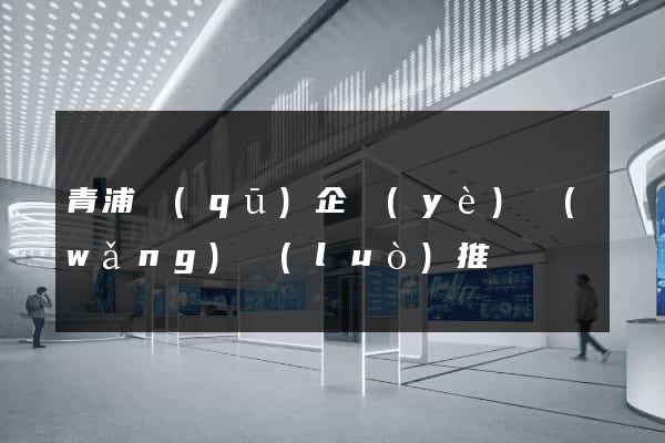 青浦區(qū)企業(yè)網(wǎng)絡(luò)推廣