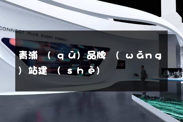 青浦區(qū)品牌網(wǎng)站建設(shè)