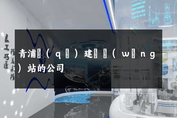 青浦區(qū)建設網(wǎng)站的公司