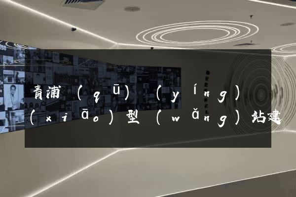 青浦區(qū)營(yíng)銷(xiāo)型網(wǎng)站建設(shè)