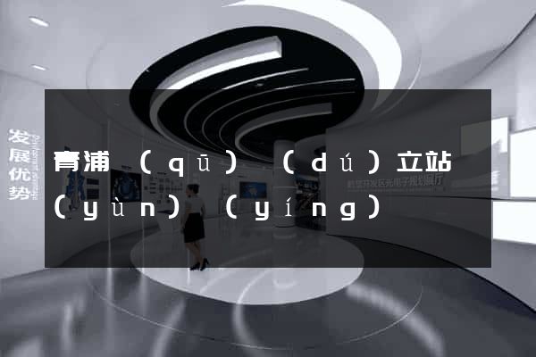 青浦區(qū)獨(dú)立站運(yùn)營(yíng)