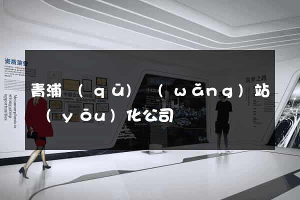 青浦區(qū)網(wǎng)站優(yōu)化公司