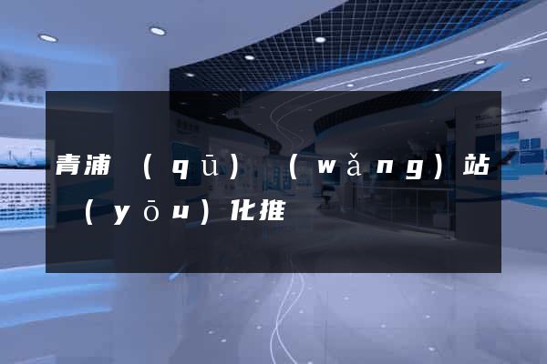 青浦區(qū)網(wǎng)站優(yōu)化推廣