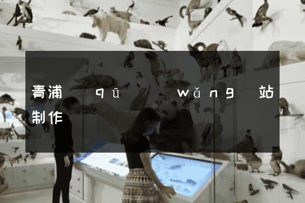 青浦區(qū)網(wǎng)站制作報價