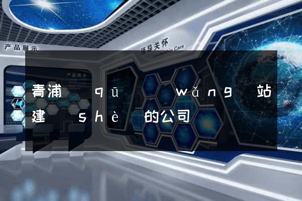 青浦區(qū)網(wǎng)站建設(shè)的公司